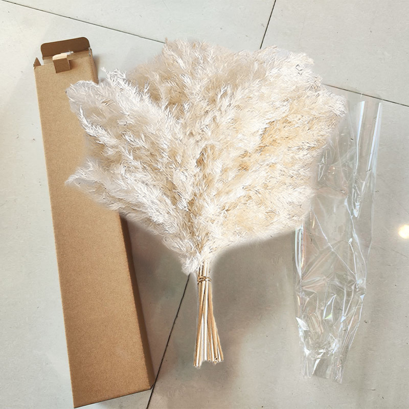 흰 갈대 10 꽃다발 상자