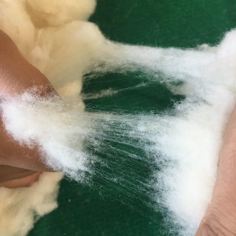 Baiming Direct Supply Sheep Wool Raw Material Washed Wool Australian Merino Wool No Odor Wool Quilt Filler