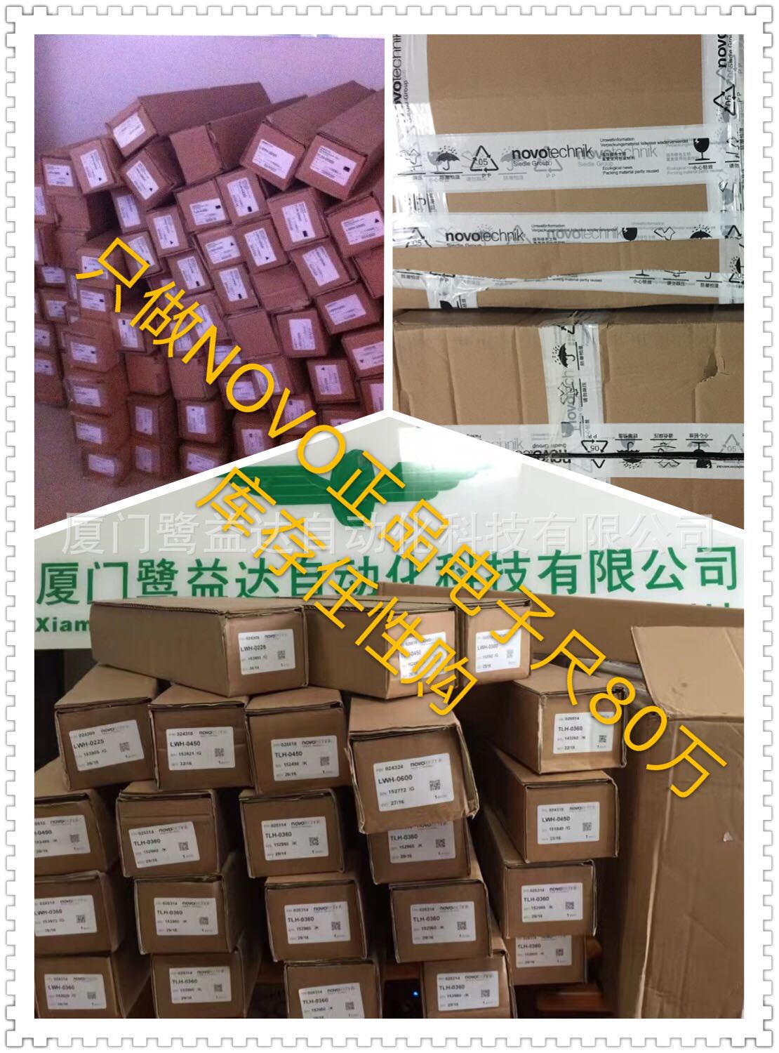 NOVO电子尺LWH-0300  LWH-0325