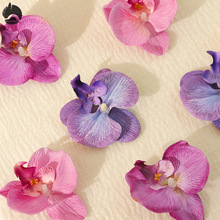 ���^3d�����m���ֶY����Wʽ�������^