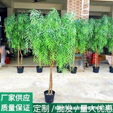 z쾰̵ꙻGֲԴ^S쾰b