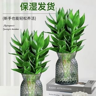 �ļ�ˮ���^�����Fˮ��͏d�҃��k�����ԾGֲ����ȩ���S�ҡ����]