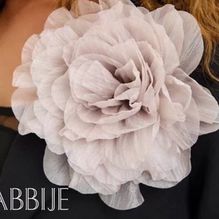 20CM�W�����_˹�羳��ˇ�����󻨶��ػ����b��鼆�Y���������l