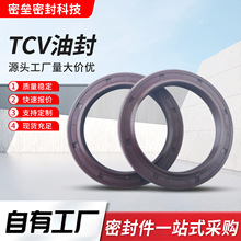 TC �͏��ɹǼ��ͷ�o�ݼy����ĥ���D�S���z�����ܷ���F؛���l