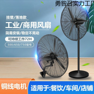 ���I��L������ȹ��S�[�ؔ��������栝�ڏ���ţ���ȱڒ���