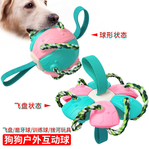 Pet Products Factory Wholesale Company New Amazon Outdoor Training Frisbee Interactive Football Dog Toy