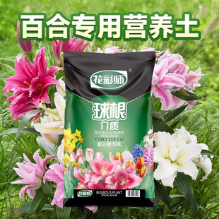 ��Խ�ٺό��àI�B�����ֲ����|��피t������N��Nֲ����