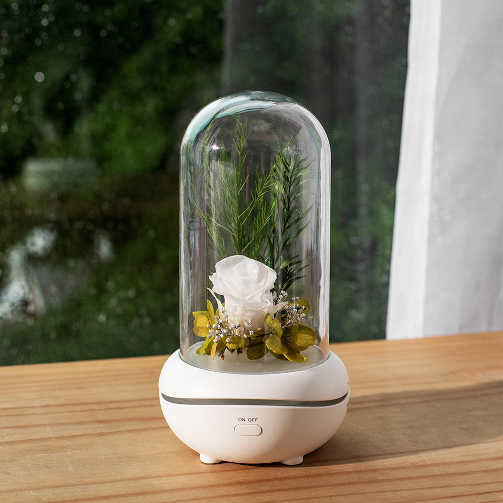 11882864406_464724461