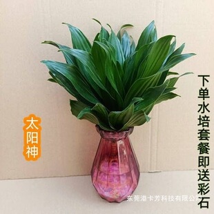 ���F��ˮ�������^�����҃�ֲ��ˮ�B�����k���ҿ͏dˮ��Gֲ̫���