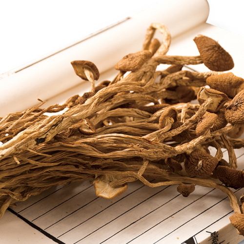 Youkangtai Tea Tree Mushroom Farm Specialty Dry Goods New Products Wholesale Stewed Cordyceps Flowers