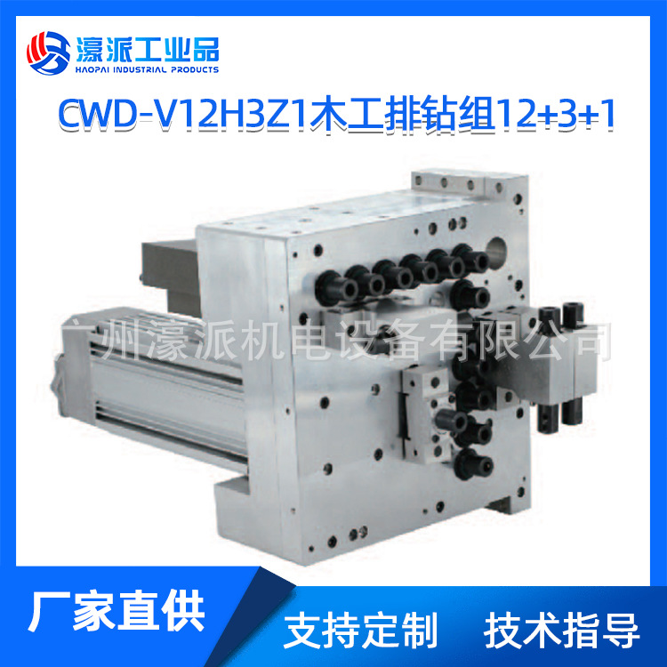 CWD-V12H3Z1排钻组12+3+1六面钻数控设备钻轴铝材/定金 价格面议
