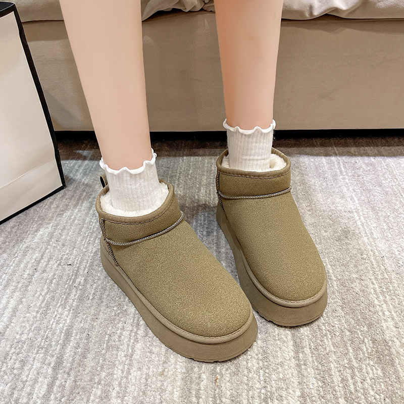 영양 브라운