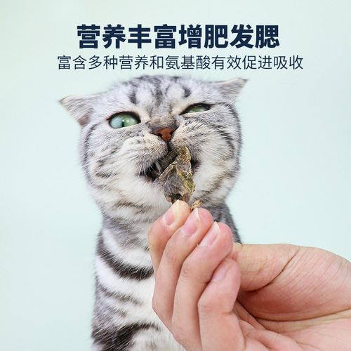 Wholesale pet snacks, cat freeze-dried food, chicken breasts, quail buckets, weight gain, gills, dog snacks rewards