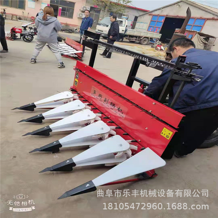 微信图片_202105280829418