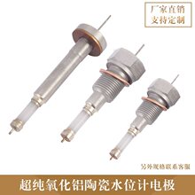 超纯氧化铝水位电极锅炉电接点水位计电极压入式电极外螺纹式电极