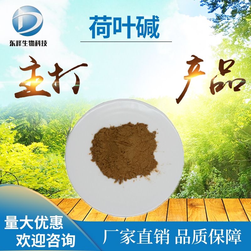水溶性4%荷叶碱 荷叶提取物现货荷叶黄酮源头货源现货供应荷叶碱