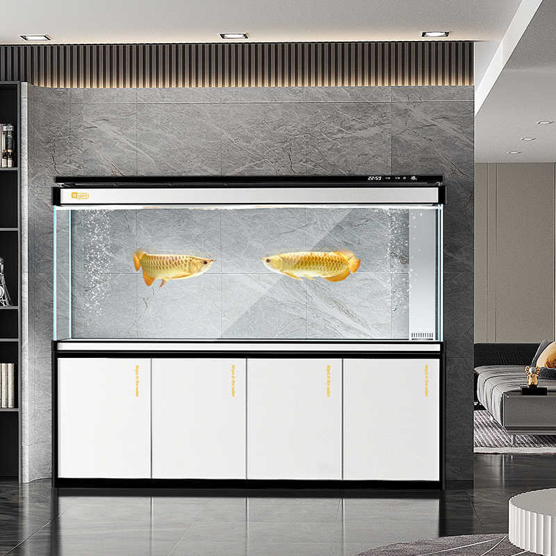 鱼缸客厅大型龙鱼缸超白玻璃水族箱底滤生态屏风免换