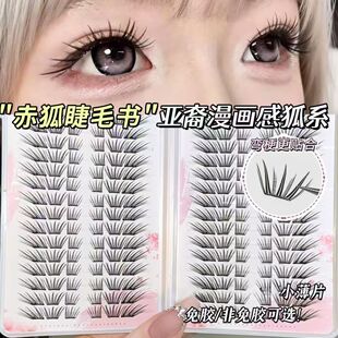 �z�zС�����ٽ�ë�ֹ���ܛ�p�g���ֆδؾ��N�ֶ�ʽ��жС��Ƭ