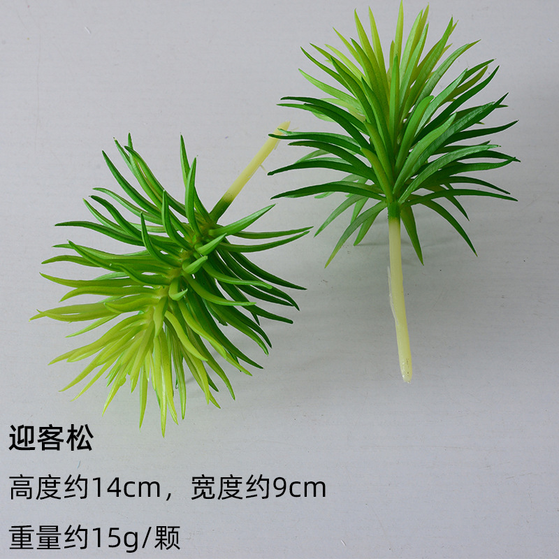 严选仿真多肉植物盆景植绒迷你假多肉配件插花绿植墙DIY装饰摆件|undefined