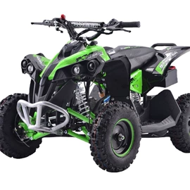 沙滩车;其他摩托车