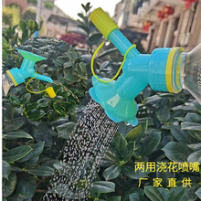 浇花喷嘴头种花洒水壶花洒喷壶家用园艺工具小盆栽养花双头浇花器
