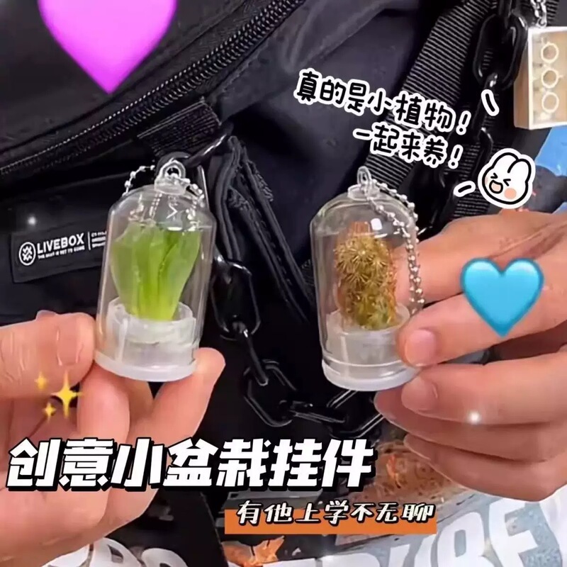New Mini Succulent Cactus Plant Pendant Creative Micro Landscape Small Potted Glass Bottle Pendant Keychain
