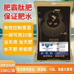 酵母肽肥低温快速肥水水产龙虾螃蟹养殖藻种控制青苔抑制蓝藻工厂