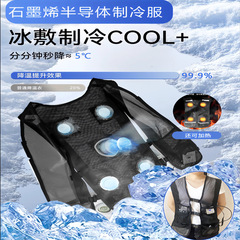 Zhenbao 空調服半導体冷凍冷却加熱防寒ベスト日焼け止め屋外ファン服