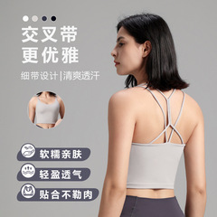 Lulu Style Solid Color Yoga Sports Bra High Intensity Back Support Push-Up Sports Bra Shockproof Bra Wholesale
