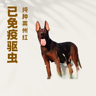 ���Ƽ��N�R�ݼt�����o�lȮ���N�������CȮ��ͥ�������̻��w����Ȯ