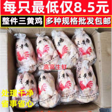 三黄鸡冷冻新鲜整箱三黄鸡19斤童子鸡乡村土鸡酒店饭店批发包邮