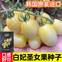 �����}Ů���N�ӿڸкÙ��ҷ���С���t���ѷN�n���M���ļ��N�߲���