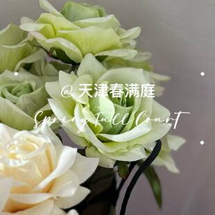 7�^�ʺ�õ���c���ķ��滨�ҾӔ[�Oõ���¼����͏d��ƿ�b�
