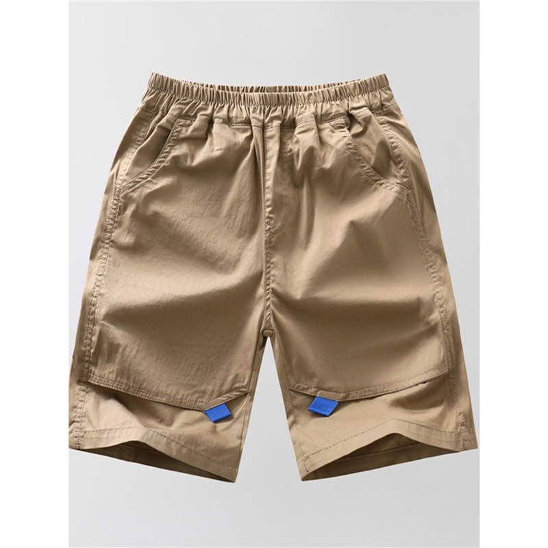 Children's Wear Thin Boys' Pants Summer 2024 New Arrival Capri Quick-drying Shorts Washed Cotton Summer Children's Casual Pants