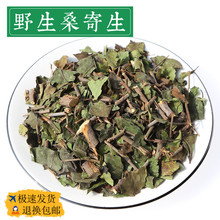 中药材桑寄生寄生500g克可磨足量桑寄生粉非特级野生桑寄生茶批发