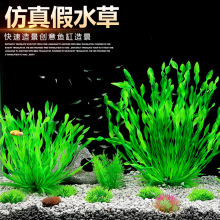 �羳�~��ˮ�����b����ˮ��ˮ���쾰�ײ��b����ϸ߿��ˮ�ݾG