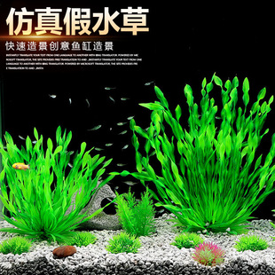 羳~ˮbˮˮ쾰ײbϸ߿ˮݾG