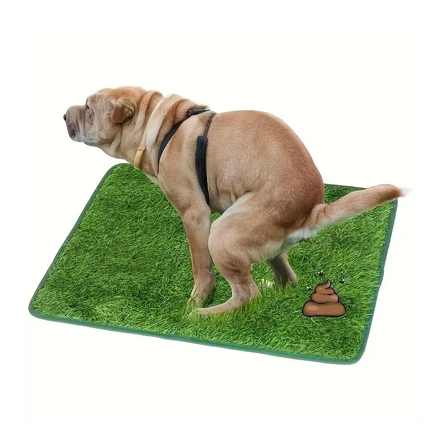 Тренировочный коврик для домашних животных, моющийся коврик для приучения к туалету для собак, коврик для мочи, искусственная трава, коврик для собак, травяной коврик, партия травы