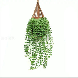 С�����b����˜I�Gֲ���B��֮�����m̩�������՚���]���W�L