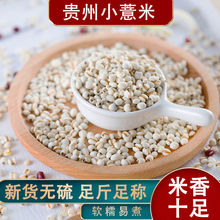 贵州新货薏米干货薏仁米仁农家自产薏米红豆芡实赤小豆五谷杂粗粮