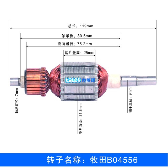 B04556