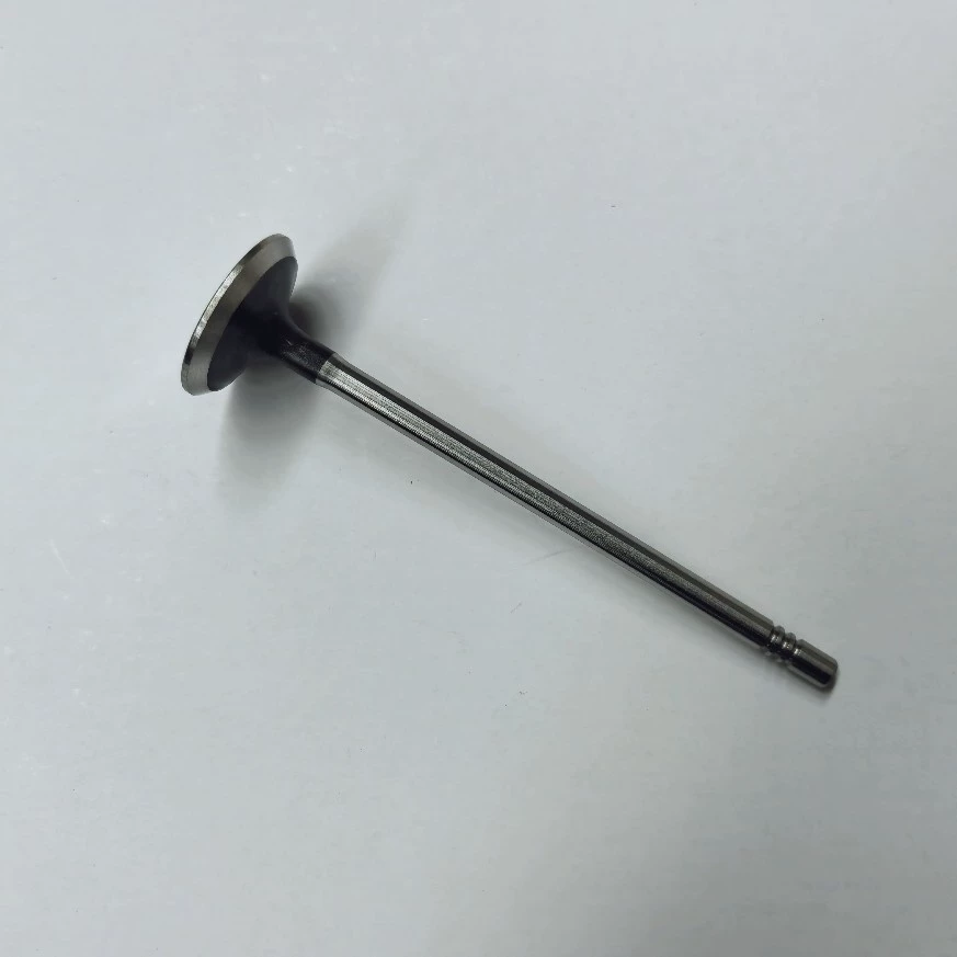 55572667 Впускной клапан LKN1.8 Новый Regal