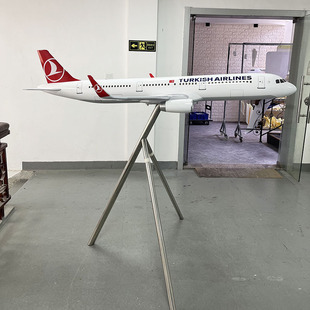 1:18 �տ�A321�����亽�պ�ģ����չ������w�Cģ�͘�֬�[��188cm