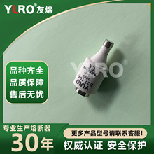 E27 DII  NEZD & DIZD Screw Type Fuse Link ����ʽ�۶�