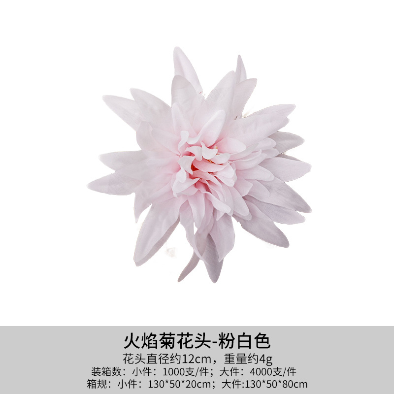 핑크 화이트