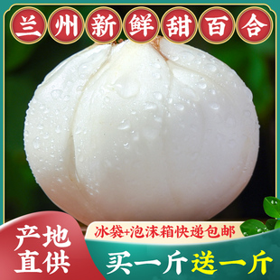 ���C�m�ݰٺ��������r��ٺ�500gʳ�����׺��خa�Ǹ�؛�ؼ��ٺϸ�