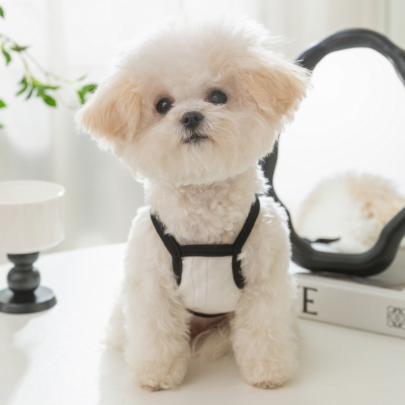 Japón y Corea del Sur minimalista chaleco perro ventilado clásico negro y blanco cinturón gatos perros pequeños y medianos peluche ropa de perro