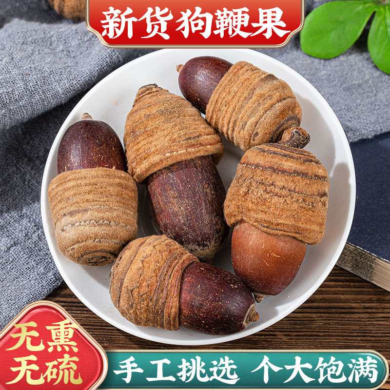 狗鞭果广西毛毛果猪仔粒泡酒料材凸风流果锁阳果养生天然滋补药材
