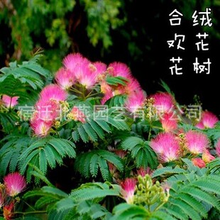 �Ϛg�N�Ӽt���Ϛg���y�Ϛg�^�p���Խq�������~��ľ�G���е���N��