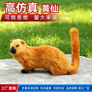 �����S���S����ģ�ͷ�꼈���ÿ���������ë�qģ�͹�ˇƷ�������l